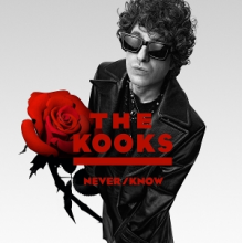 Kooks - Never/Know