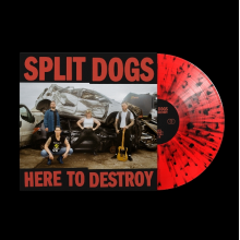 Split Dogs - Here To Destroy