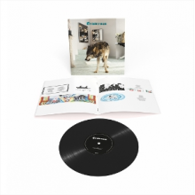 Grinderman - Grinderman 2