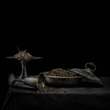 Holy Scum - All We Have is Never