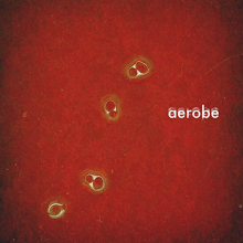 Aerobe - Aerobe