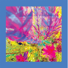 Reds, Pinks & Purples - The Past is a Garden I Never Fed