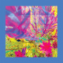 Reds, Pinks & Purples - The Past is a Garden I Never Fed