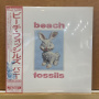Beach Fossils - Bunny