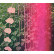 Snowpoet - Heartstrings