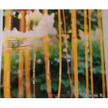 Snowpoet - Heartstrings