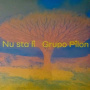 Pilon, Grupo - Nu Sta Li