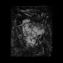 Laroche, Susu - War Against the Lie
