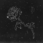 Liberato - Liberato Iii