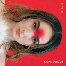 Cannon, Ann Liu - Clever Rabbits