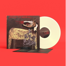 Sparhawk, Alan - With Trampled By Turtles