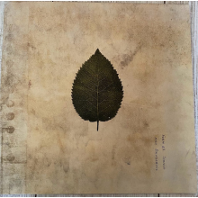 Boxer Rebellion - Cold Still