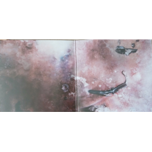 Model/Actriz - Pirouette