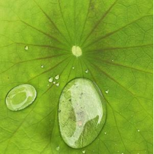 Chilvers, Peter - Dust 3