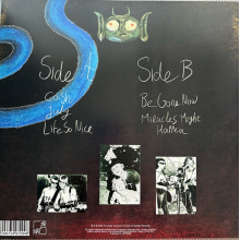 Fit - Miracles Might Happen