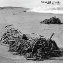 Thinking Fellers Union Local 282 - Tangle