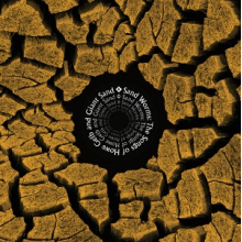 V/A - Sand Worms (the Songs of Howe Gelb and Giant Sand)