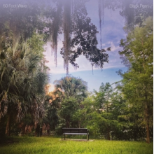 50 Foot Wave - Black Pearl (Turquoise)