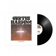 Harding, Curtis - Departures & Arrivals: the Adventures of Captain Curt