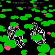 Balcony's Paradise - Spot the Difference