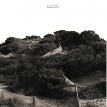 Louth-Robins, Tristan - Borrowed Out of Time