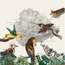 Friendly Rich - The Birds of Marsville