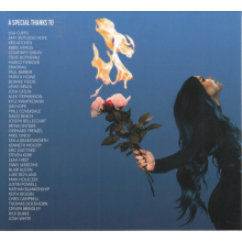 As December Falls - Everything's On Fire But I'm Fine