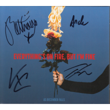 As December Falls - Everything's On Fire But I'm Fine