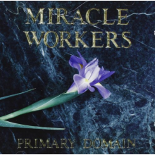Miracle Workers - Primary Domain
