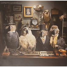 Wevie Stonder - Sure Beats Living