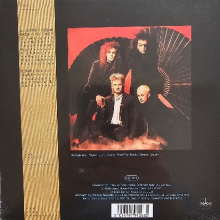 Dead or Alive - Lover Come Back