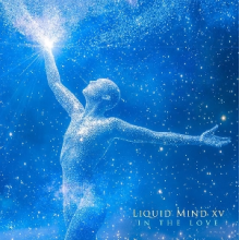 Liquid Mind - Liquid Mind Xv / In the Love
