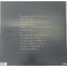 McDaniel, Chase - Lost Ones