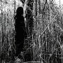 Woods, Billy - Today, I Wrote Nothing