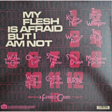 Shock Narcotic - My Flesh is Afraid But I Am Not