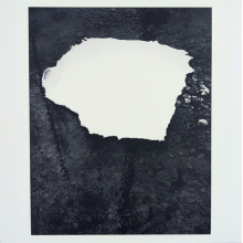 Zelienople - Everything is Simple