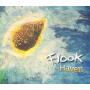 Flook - Haven