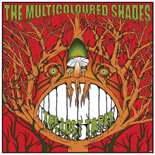 Multicoloured Shades - Lost Tapes -10"-