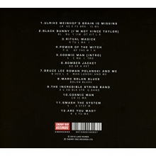 Haines, Luke - Smash the System