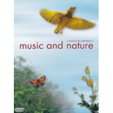 Corciolli - Musica & Natureza