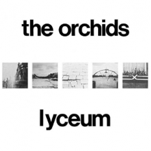 Orchids - Lyceum