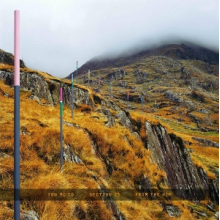 Section 25 - From the Hip