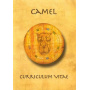 Camel - Curriculum Vitae