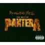 Pantera - Reinventing Hell + Dvd