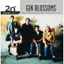 Gin Blossoms - Best of Gin Blossoms