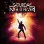 Musical - Saturday Night Fever