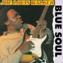 Walker, Joe Louis - Blue Soul