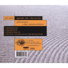 Roth, Gabrielle - Still Chillin'