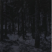 Moloch - Abstrakter Wald