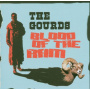 Gourds - Blood On the Ram
